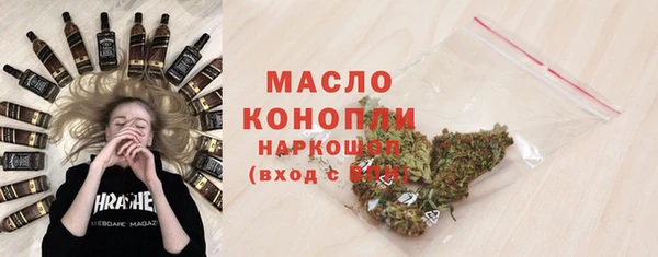 сатива Беломорск