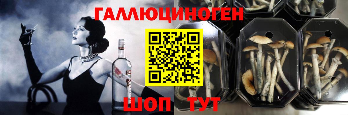 Кстово  Галлюциногенные грибы прущие грибы  Вход с VPN 